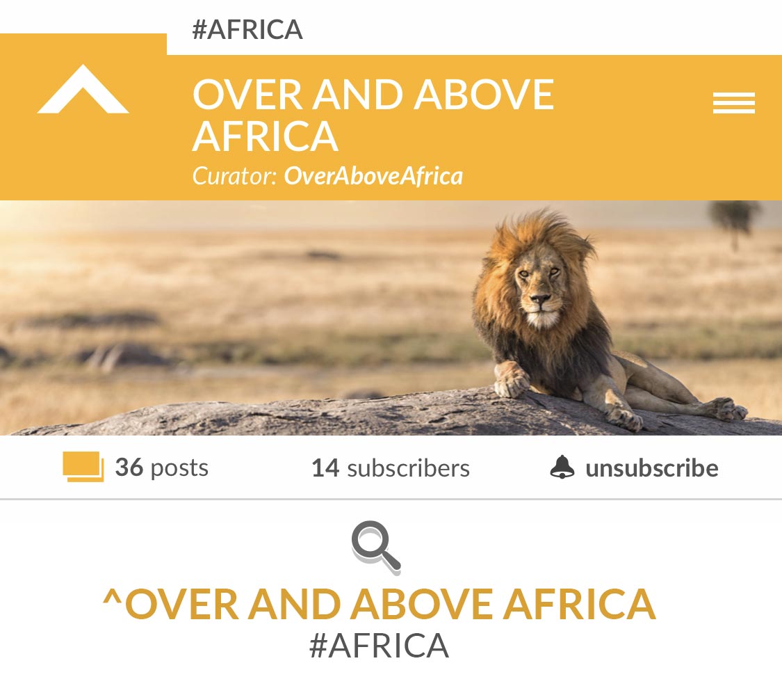 Topico Newsrooms - Curate the news - Over and Above Africa
